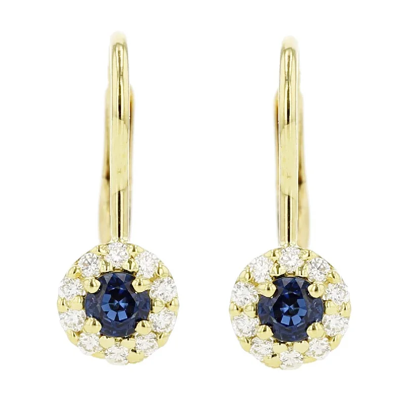 women’s small hoop earrings-Sapphire and Diamond Halo Drop Earrings